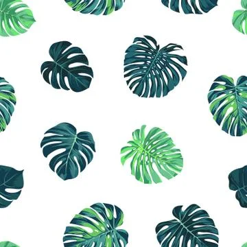 Seamless vector tropical pattern with green monstera palm leaves on dark 库存插图