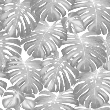 Seamless vector tropical pattern with green monstera palm leaves on dark Stock Illustration