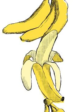 Seamless vertical Border Banana vector pattern in graphic Jungle Tropical For Stock Illustration