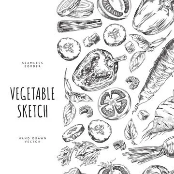 Seamless vertical border with farm vegetables with parsley basil leaves engraved Stock Illustration