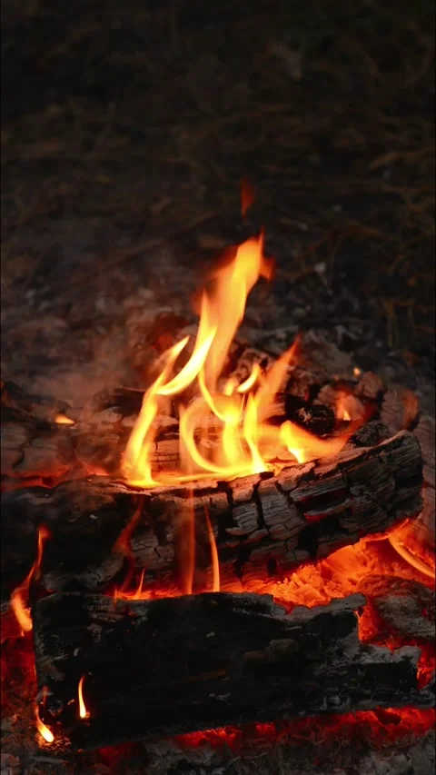 Seamless Vertical Campfire Loop with Bright Flames and Glowing Coals 動画素材 344031138
