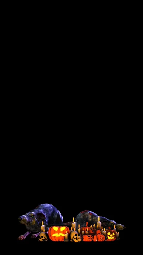 Seamless vertical video of dangerous rats, candles and Jack O´lantern pumpkins Stock Footage 320246033