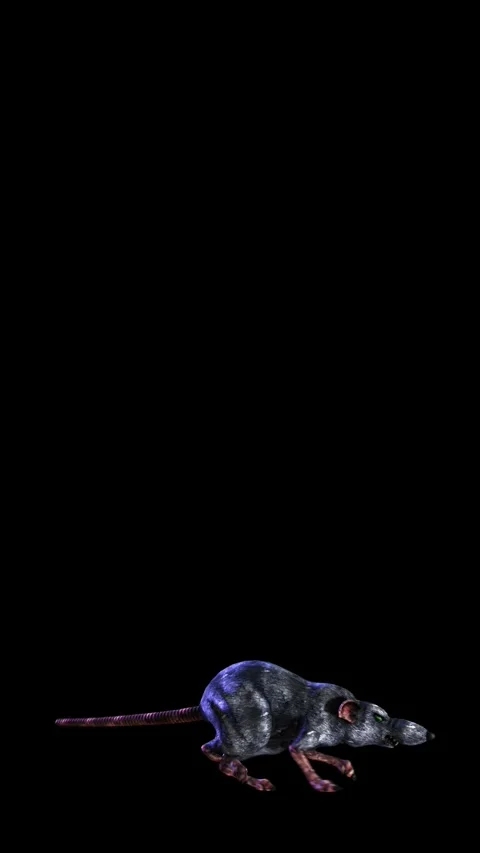 Seamless vertical video of walking rat, candles and Jack O´lantern pumpkins Stock Footage 320252776