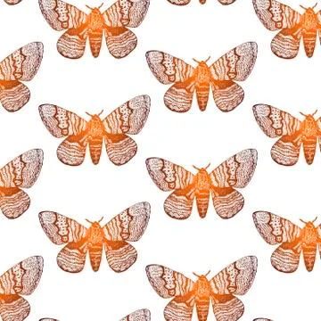 Seamless vetor butterfly pattern Stock Illustration