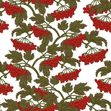 Seamless Viburnum Branch Pattern Vector Hand Drawn Mediterranean Style Berrie Illustrazione stock