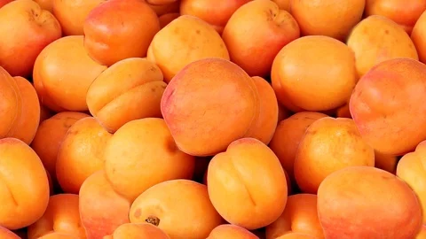 Seamless video - apricots Stock Footage 123911439