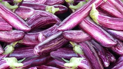 Seamless video - background from eggplant Stock Footage 122666335