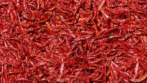 Seamless video - background of red chili peppers Stock Footage