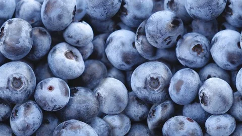 Seamless video of blueberries Stock Footage 122094437