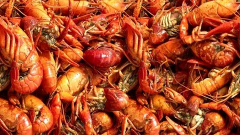 Seamless video - crayfish seafood Stock Footage 122353759