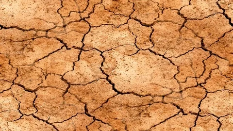 Seamless Video – Drought Stock Footage 118742943