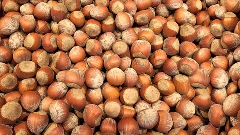 Seamless video - hazelnut Stock Footage 123067576
