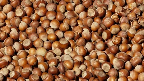 Seamless video of nut of hazelnuts Stock Footage 122094545