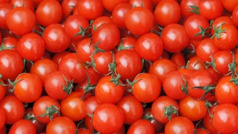 Seamless video of red tomatoes Stock Footage 122546455