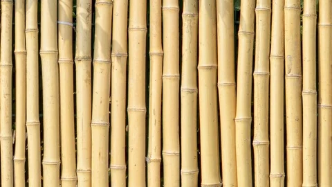 Seamless video from the stems of bamboo Stock Footage 122185352