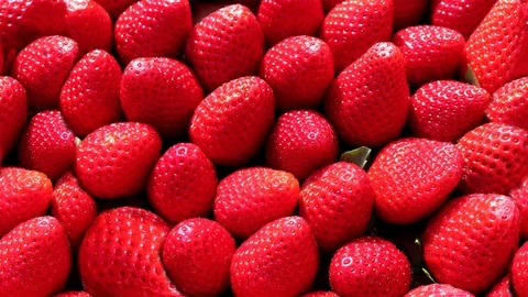 Seamless video - strawberries Stock Footage 123911534