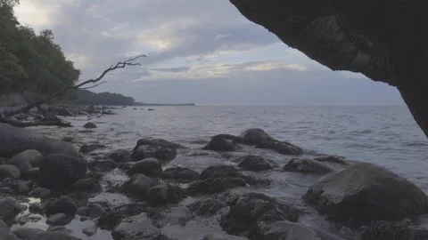Seamless view of the rebellious dry tree lying on the beach Stock Footage 95919537