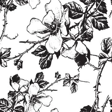 Seamless vintage floral pattern, vector illustration Illustrazione stock