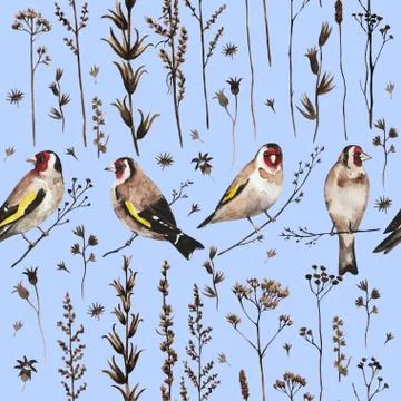 Seamless vintage pattern in border style with goldfinch birds and autumn dry Stock Illustration