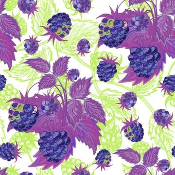 Seamless violen green pattern with raspberries. Hand painting. Colorful pattern Illustrazione stock
