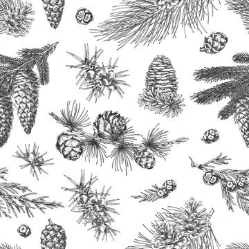 Seamless wallpaper of coniferous tree branches and cones, vintage engraved hand 스톡 일러스트