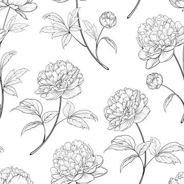 Seamless wallpaper of of Peonies flowers elements. Digital flat illustration of Stock Illustration