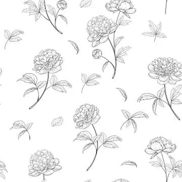 Seamless wallpaper of of Peonies flowers elements. Digital flat illustration of Stock Illustration
