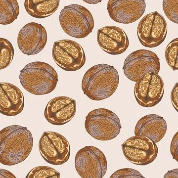 Seamless Walnut Pattern Vector Hand Drawn Mediterranean Style Whole and Halve Illustrazione stock