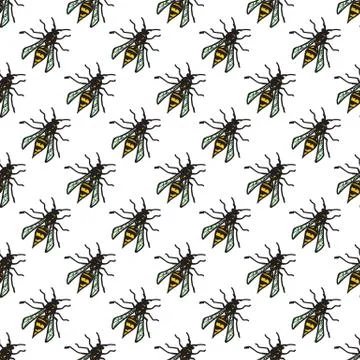 Seamless wasp pattern for your summer design. Vector illustration Stock Illustration
