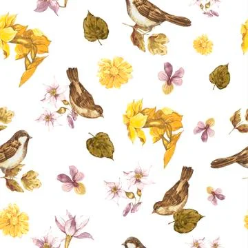 Seamless Watercolor Background with Sparrows Stock-Illustration