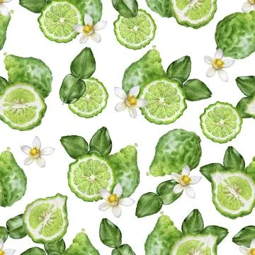 Seamless Watercolor Bergamot Fruit Pattern with Leaves and Flower Stock Illustration