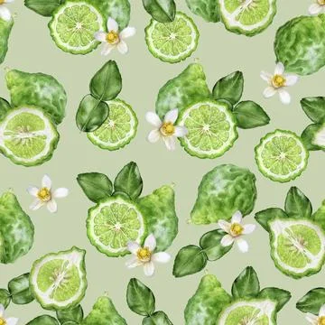 Seamless Watercolor Bergamot Fruit Pattern with Leaves and Flower Stock Illustration