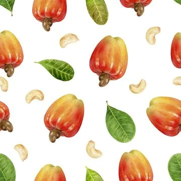 Seamless Watercolor Cashew Nut Pattern on White Background Stock Illustration