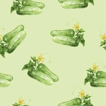Seamless Watercolor Cucumber Pattern on Light Green Background Stock Illustration