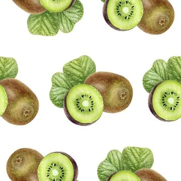 Seamless Watercolor Kiwi Fruit Pattern on White Background Stock Illustration