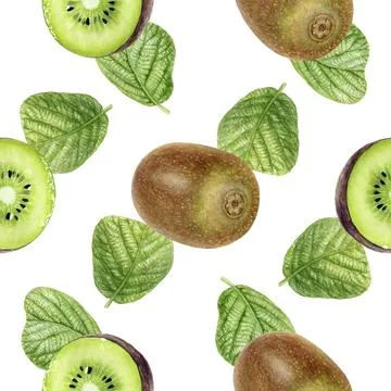Seamless Watercolor Kiwi Fruit Pattern on White Background Stock Illustration