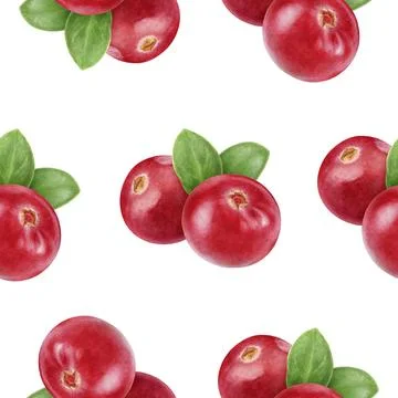 Seamless Watercolor Lingonberry Pattern on White Background Stock Illustration
