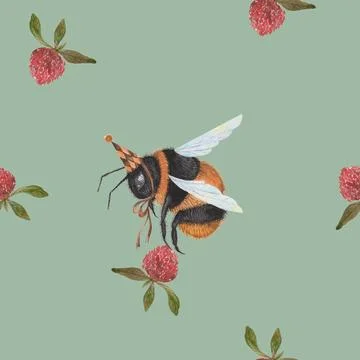 Seamless watercolor pattern bumblebees flying and clover flowers. a bumblebee in Illustrazione stock