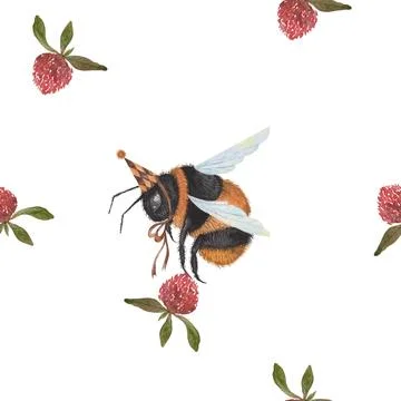 Seamless watercolor pattern bumblebees flying and clover flowers. a bumblebee in Stock Illustration