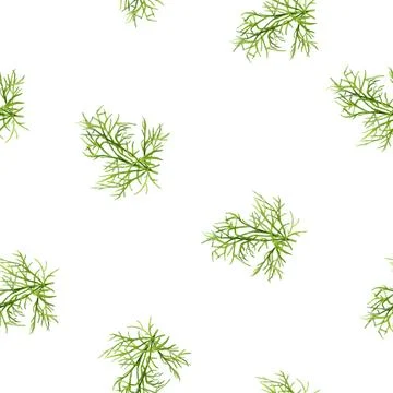 Seamless Watercolor Pattern Featuring Lush Green Foliage Dill Set Against a Stock Illustration