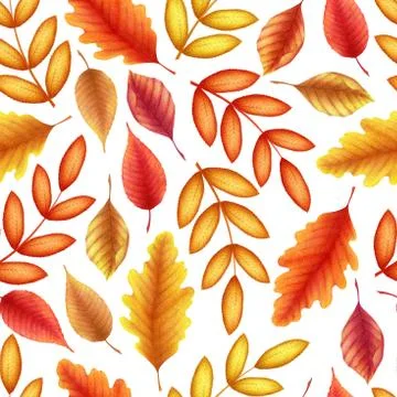 Seamless watercolor pattern with hand drawn autumn leaves and branches isolat Stock Illustration