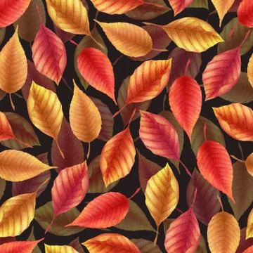 Seamless watercolor pattern with hand drawn autumn leaves isolated on black b Stock Illustration