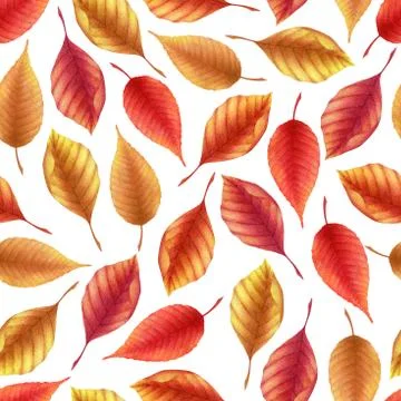Seamless watercolor pattern with hand drawn autumn leaves isolated on white b Stock Illustration