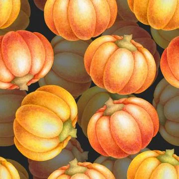 Seamless watercolor pattern with hand drawn colorful pumpkins isolated on bla Stock Illustration