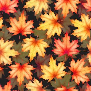 Seamless watercolor pattern with hand drawn maple leaves isolated on black ba 스톡 일러스트