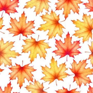 Seamless watercolor pattern with hand drawn maple leaves isolated on white ba Illustrazione stock