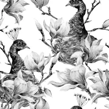 Seamless Watercolor Pattern with Pair of Peacock, Flowers Magnol Stock Illustration