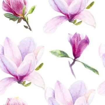 Seamless Watercolor Pattern of Pink and Purple Magnolia Flowers with Green Stock Illustration