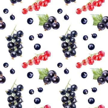 Seamless Watercolor Pattern of Red and Black Currants on White Background Stock Illustration