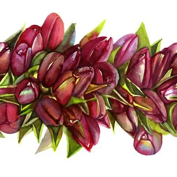Seamless watercolor pattern red tulips Stock Illustration